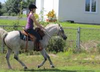 Comme Kyrielle l&agrave; dit, tu peux bien prendre un Arabe qui est sp&eacute;cialis&eacute; en saut ou en endurance pour en faire un cheval de loisir. J'ai une jument...