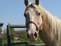 et de visage mon beau Lucky Dusty
