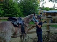 NSP SULLYS WILD CHLOE est une pouliche Paint Horse enregistr&eacute;e de 2ans 5mois . Elle est sorrel sabino ov&eacute;ro les deux yeux bleus , elle doit mesur&eacute;e...
