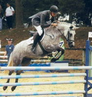 Les cat&eacute;gorie en cso