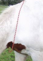 Le rythm bead(collier de rythm)