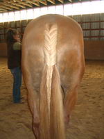 Faites vous des Tresses ?