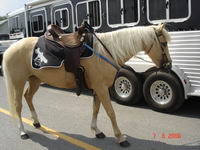 Festival du cheval de Princeville 2009!!