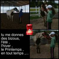 qui a un cheval qui donne des bizous ?!?