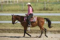 Qui a dit qu'un standardbred en plaisance sa marche pas?