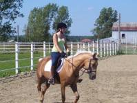 Mon cheval galoppe désuni