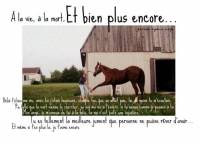 RIP.  Breeze Ship,      ma vie est finie.