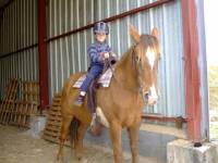 Changement de selle