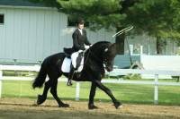 Envoyer son cheval en entrainement chez un pro