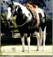 Le pere de vos chevaux ?