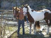 Préparation d'un vieu rêve... la traversé du canada à cheval sur le sentier transcanadien