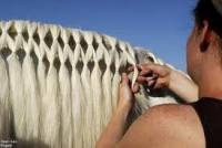 comment faire un tressé quadrillé