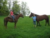 comment jouer avec nos chevaux