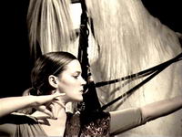 Spectacle équestre Samsara