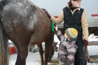 Travail en manège pour un cheval de rando