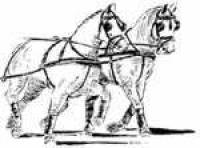 Conseils attelage