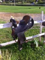 Qu`est ce qu`un arçon sur une selle ?