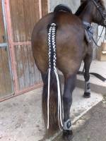 tresse pour competition