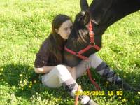 Mon cheval & moi