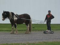 Roller-Joerring