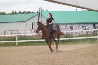 position pas normal au Galop