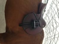 Confusion position de ma selle