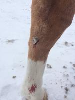 Aide blessure jambe gauche !