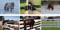 Avis sur la clôture Horse Guard ou la clôture Flex