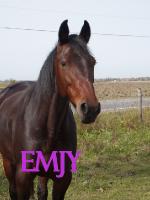 Repose en paix Emjy
