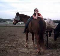 Glucosamine pour chevaux