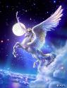 Myhorsez