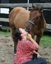 Horse_love