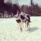Maarie.R
