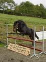 poneytta