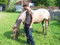lucky luke