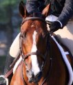 Cyrano <3