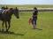 CowGirlM-C