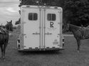 Synthi@