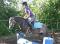Kiddy_pony
