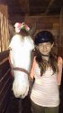 mimiponey