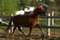 Blaze078