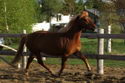 Blaze078