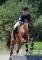 loulou610