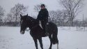 manhorses