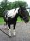 Mary_June8