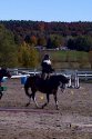 ptit_poney