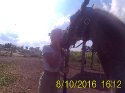 mel_gaut
