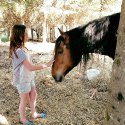 Téo_Cheval