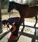 EqBodywork
