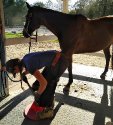 EqBodywork